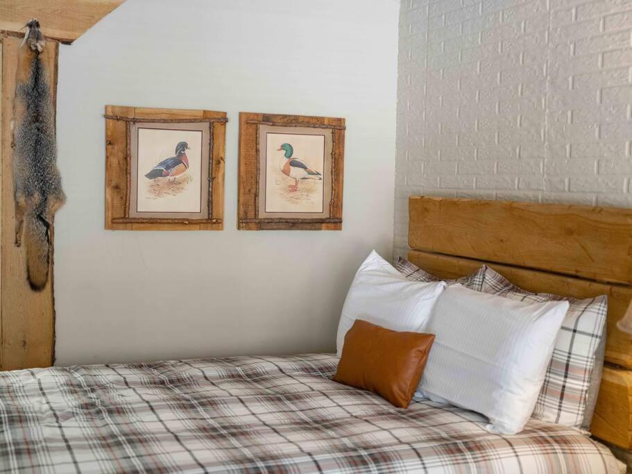 Stonegate Lodge 2 Queen Beds Fast Wifi 50In Tv Salt Water Pool Room # 305 유레카 스프링스 외부 사진